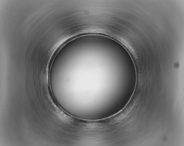 X0000091000988200708091536
