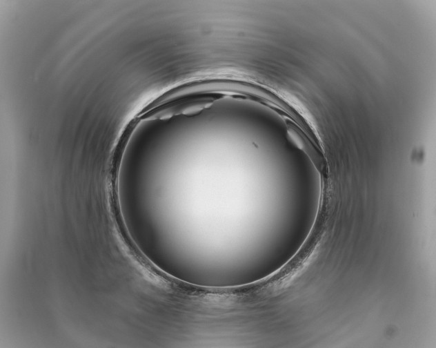 X0000091000989200708091536