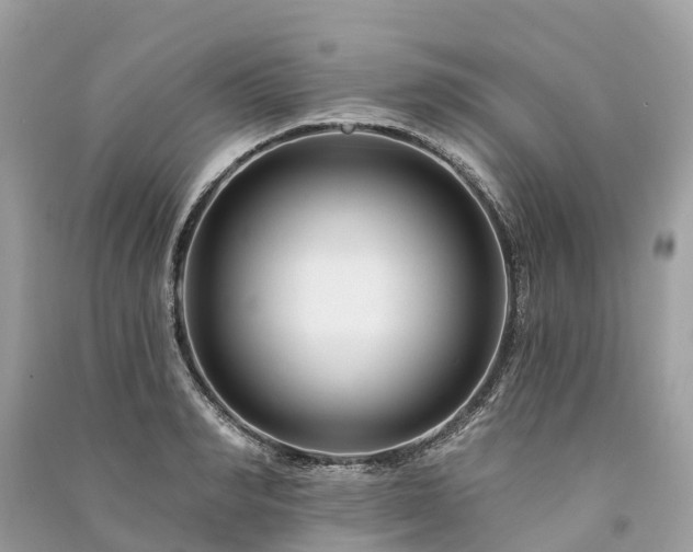 X0000091000990200708091536