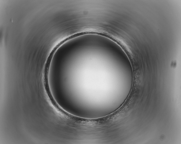 X0000091000991200708091536