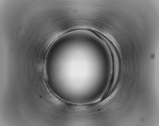 X0000091000993200708091536