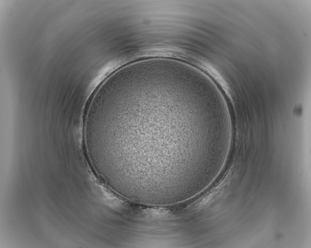 X0000091000994200708091536
