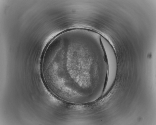 X0000091000995200708091536