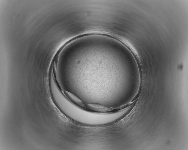 X0000091000996200708091536