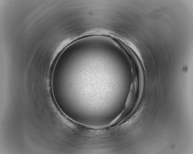 X0000091000997200708091536