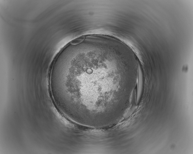 X0000091000998200708091536