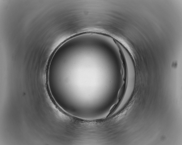 X0000091000999200708091536