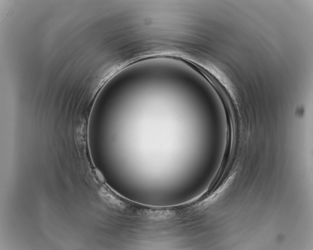 X0000091001001200708091536