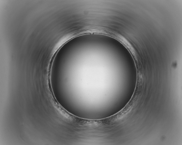 X0000091001002200708091536