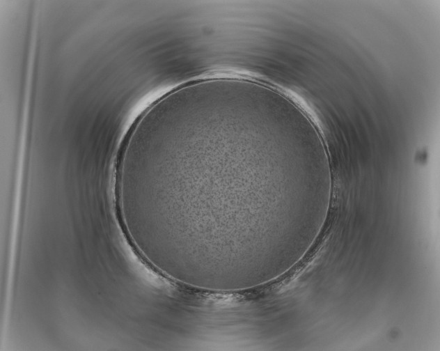 X0000091001003200708091536