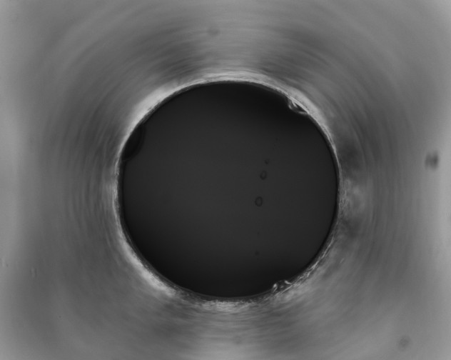 X0000091001005200708091536