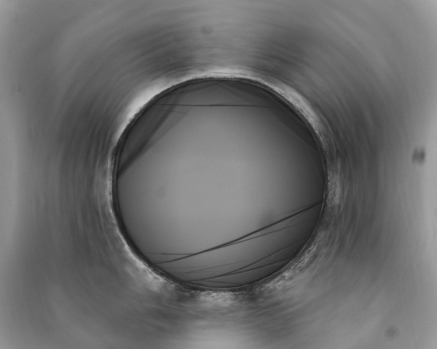 X0000091001006200708091535