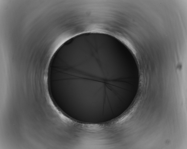 X0000091001007200708091535