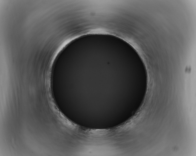 X0000091001008200708091535