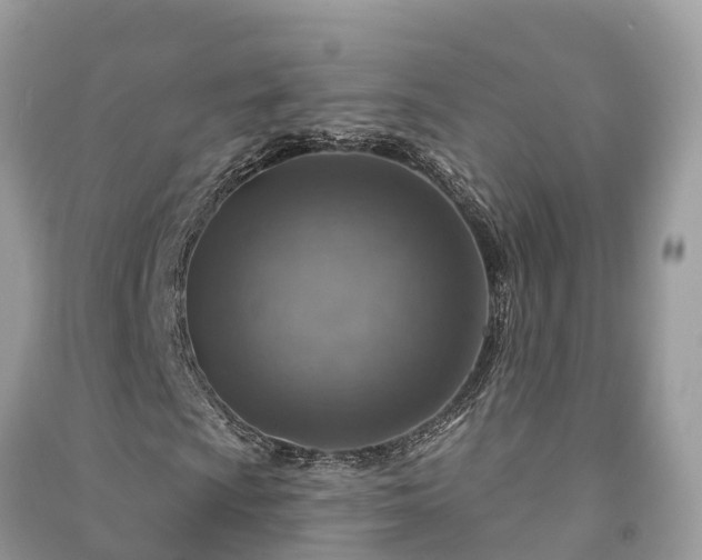 X0000091001009200708091535