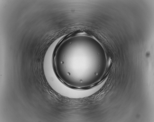 X0000091001010200708091535