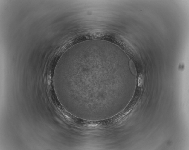 X0000091001011200708091535