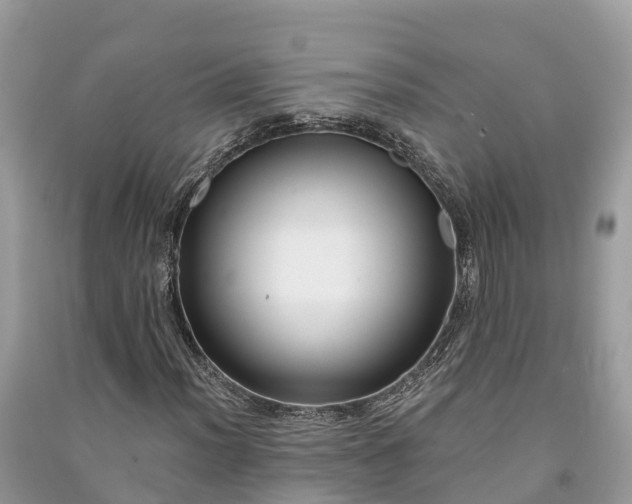 X0000091001012200708091535