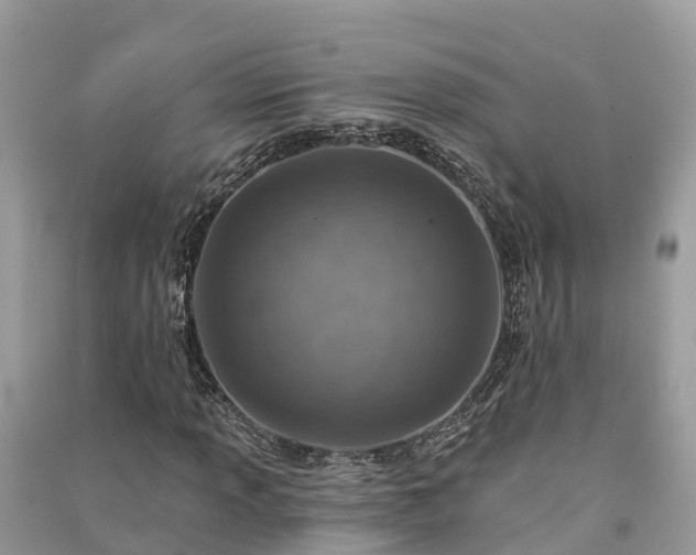 X0000091001013200708091535