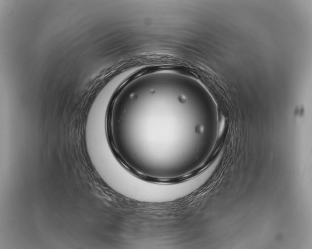 X0000091001014200708091535
