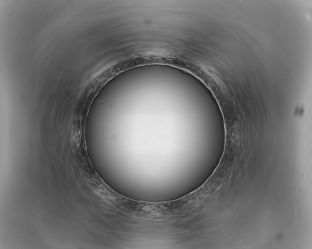 X0000091001015200708091535