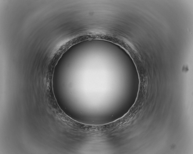 X0000091001016200708091535