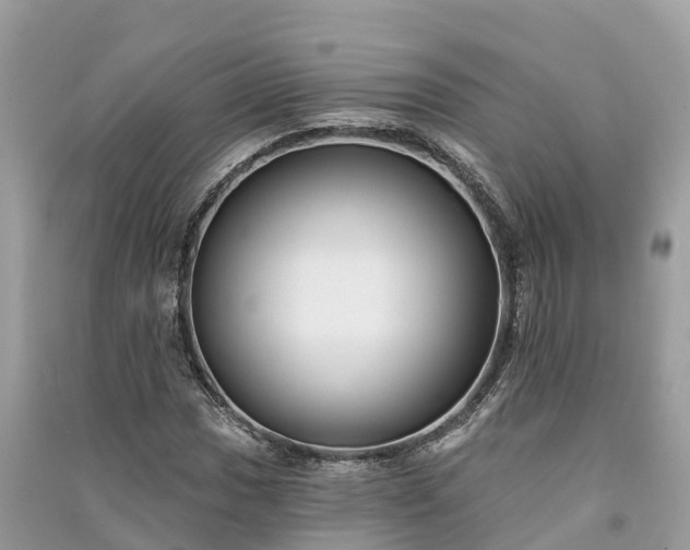 X0000091001017200708091535