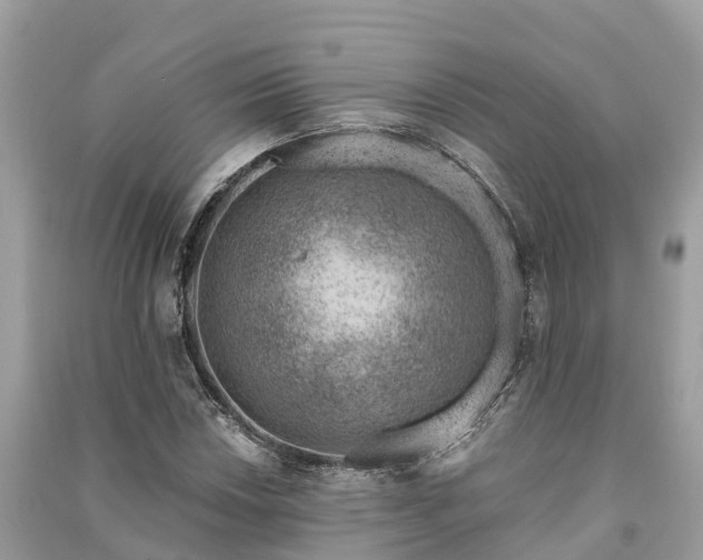 X0000091001018200708091535
