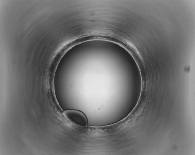X0000091001019200708091535