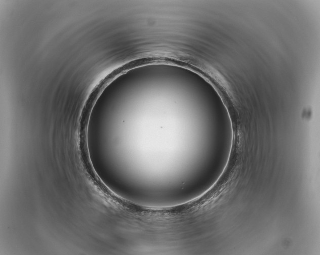 X0000091001020200708091535