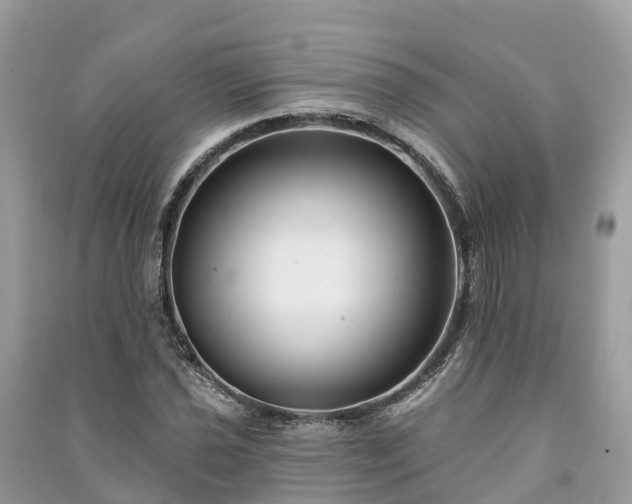 X0000091001021200708091535