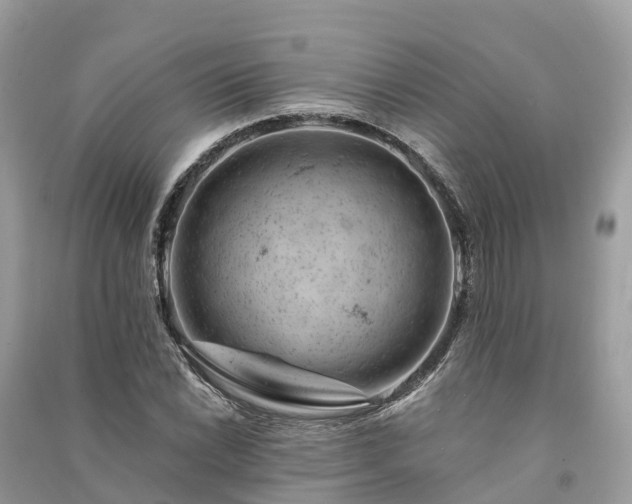 X0000091001022200708091535