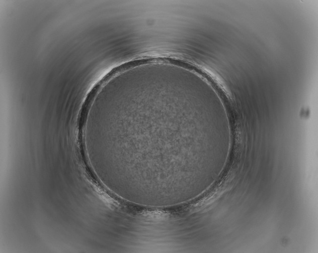 X0000091001023200708091535