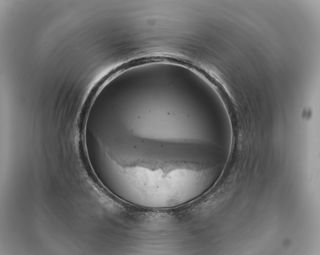 X0000091001024200708091535