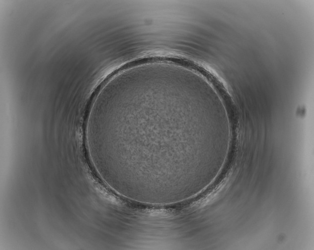 X0000091001025200708091535