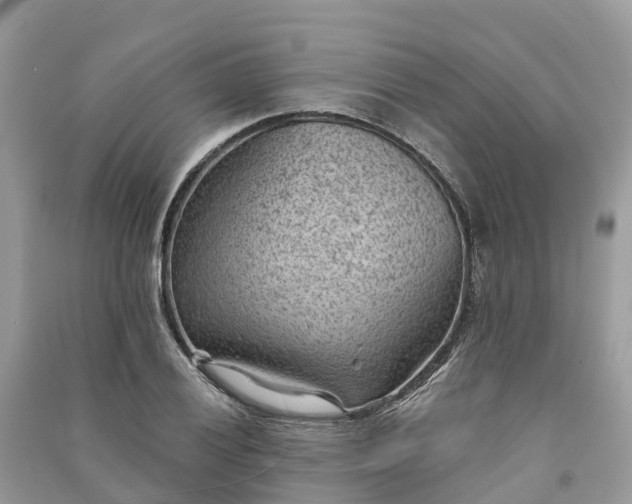 X0000091001028200708091535