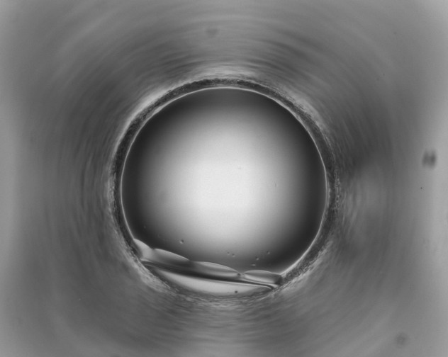X0000091001029200708091535