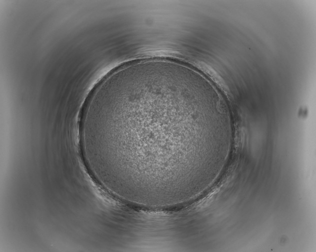 X0000091001031200708091535