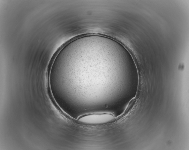 X0000091001032200708091535