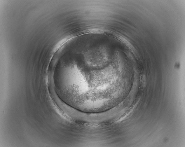 X0000091001034200708091535