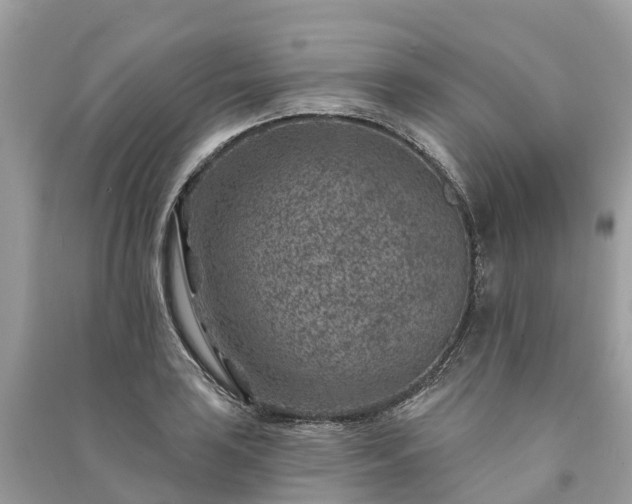 X0000091001035200708091535