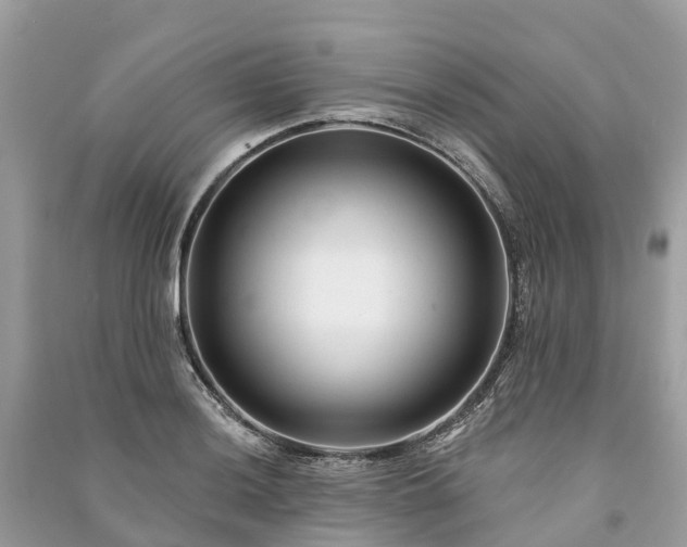 X0000091001036200708091535