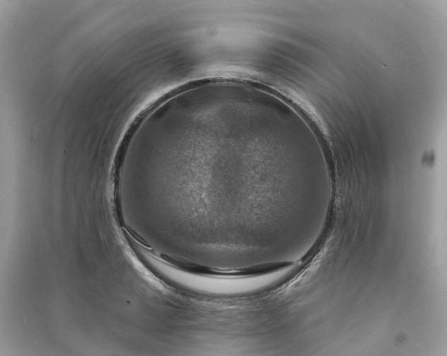 X0000091001037200708091535