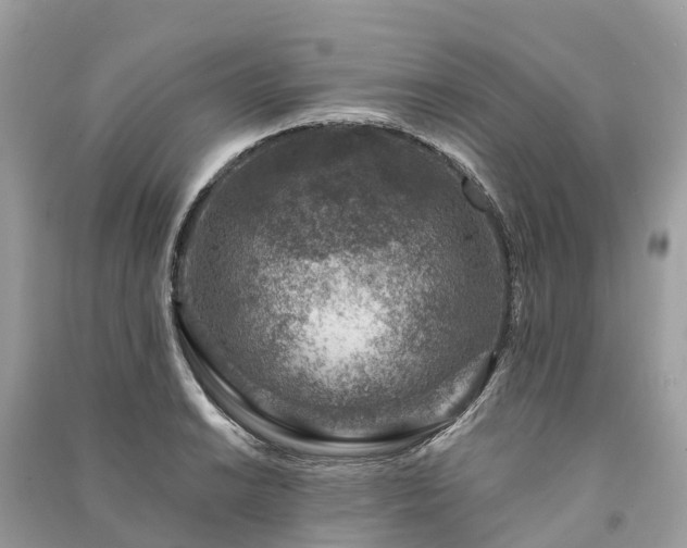 X0000091001038200708091535