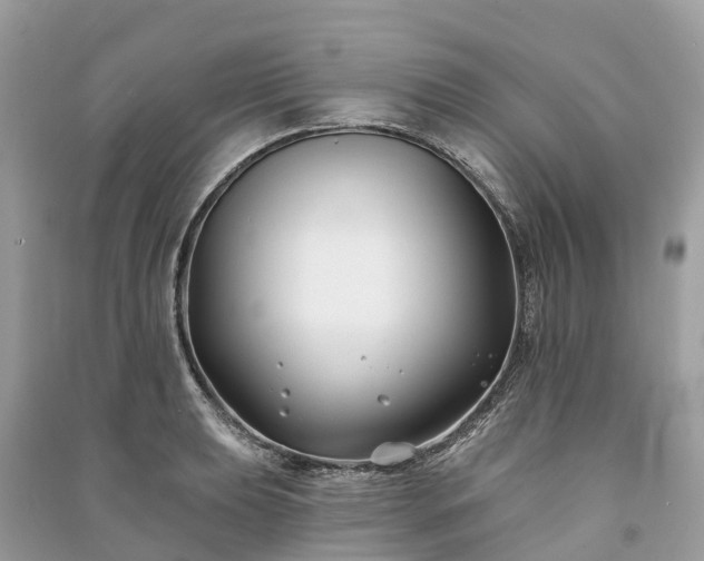 X0000091001039200708091535