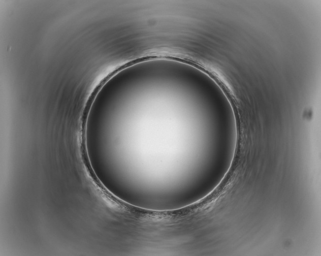 X0000091001040200708091535