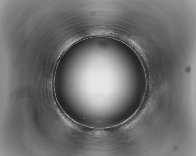 X0000091001041200708091535