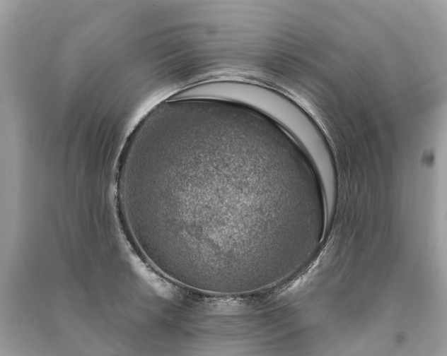 X0000091001042200708091535