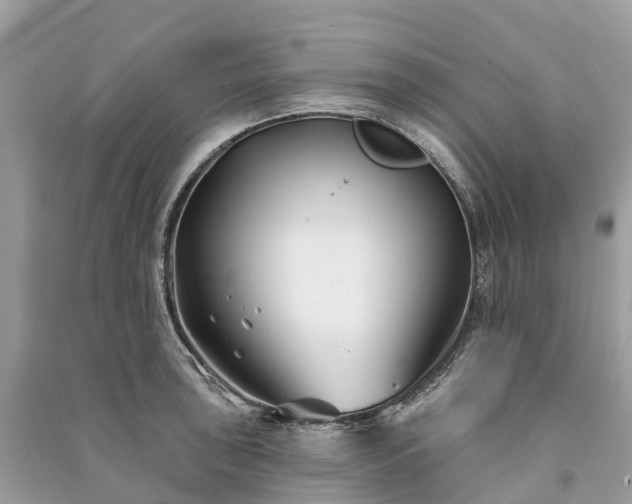 X0000091001043200708091535