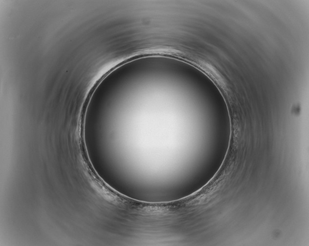 X0000091001044200708091535